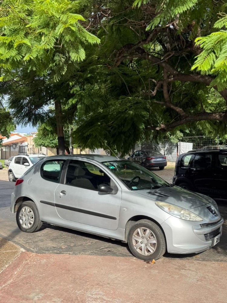 Peugeot 207 Active — foto 6